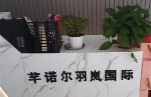 芊诺尔羽岚产后修复
