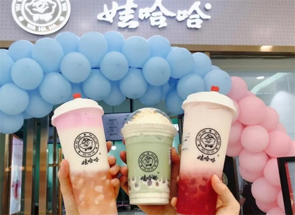 娃哈哈奶茶加盟