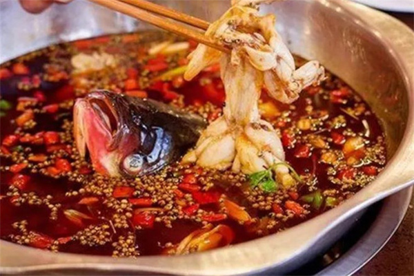 美蛙鱼头火锅加盟费