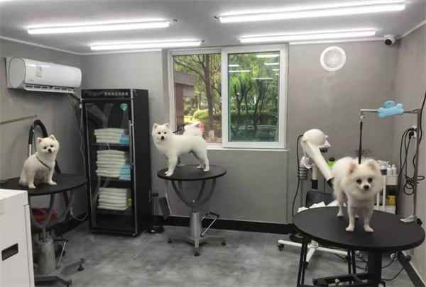 小佩宠物