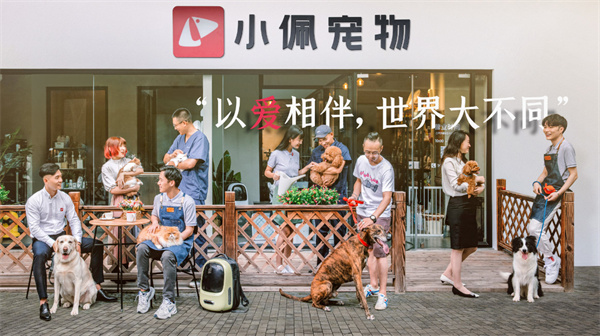 小佩宠物