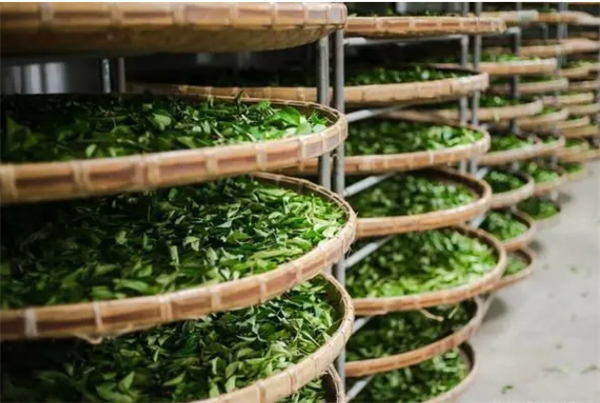 品牌茶叶连锁店加盟