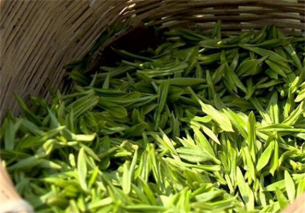 品牌茶叶连锁店加盟