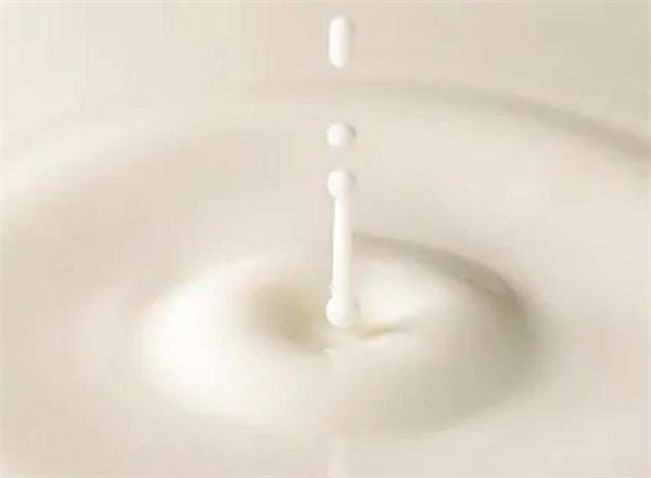 茶本甜加盟费