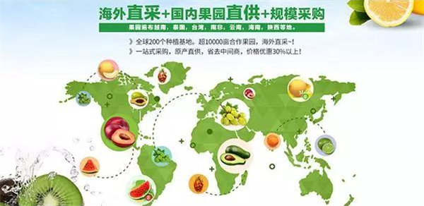 果掌门水果连锁