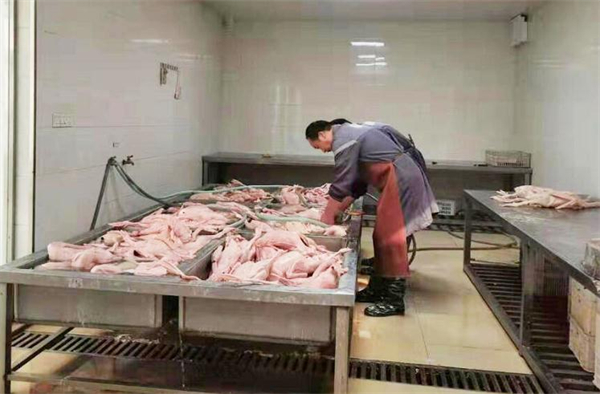 张埝盐水鹅加盟