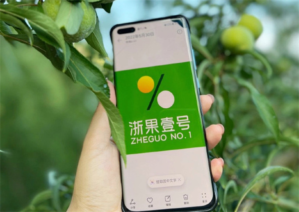 浙果壹号加盟费