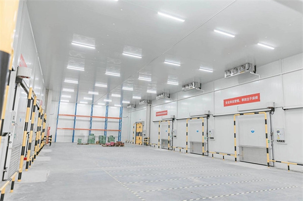 浙果壹号加盟费