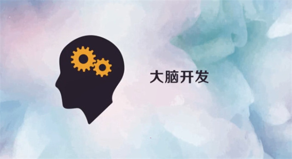 脑力开发加盟费