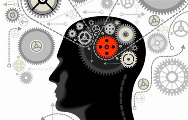 脑力开发加盟费