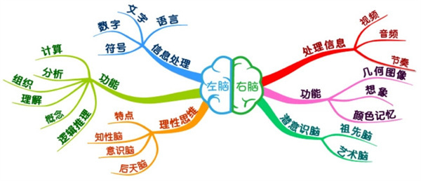 脑力开发加盟费