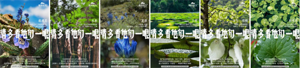 植物医生
