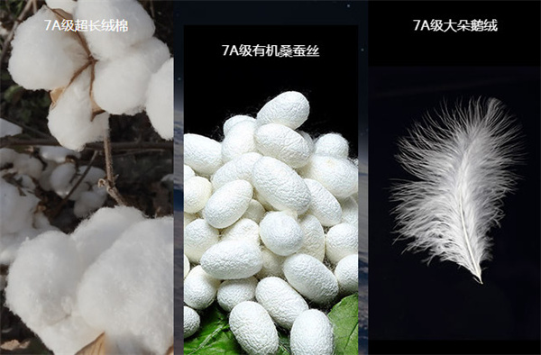 梦洁家纺加盟费