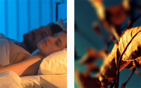 美凯珑家纺加盟费