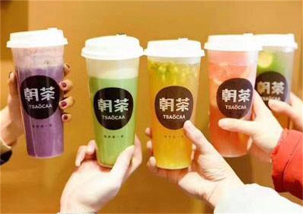 朝茶加盟费用