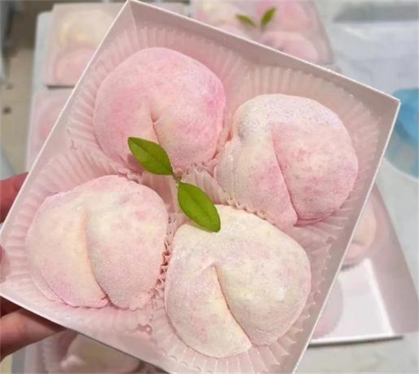 大西叽思酿加盟