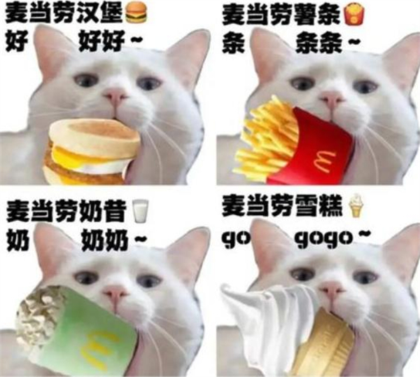 肯卫汀加盟费
