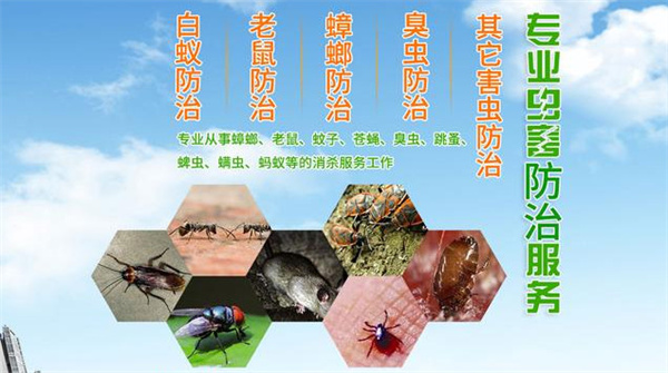 除虫灭鼠