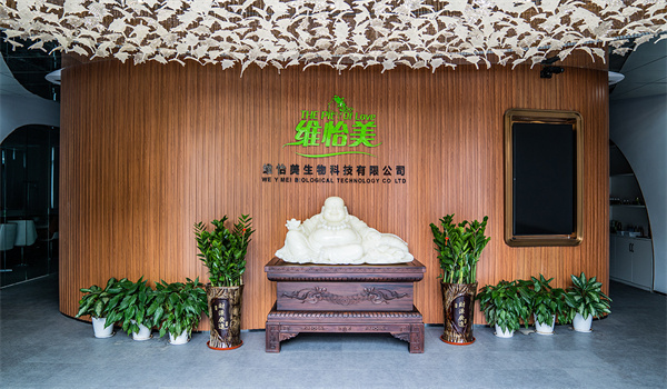 维怡美祛斑