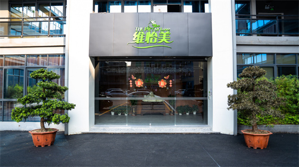 维怡美祛斑