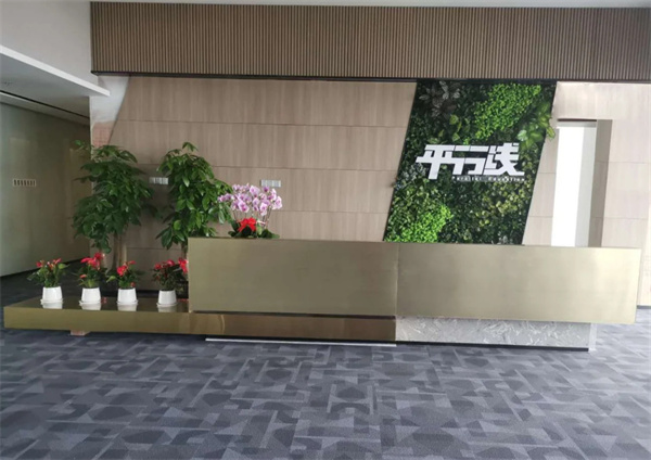 平行线教育加盟费