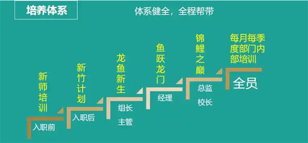 平行线教育加盟费