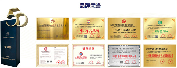 罗曼林加盟费