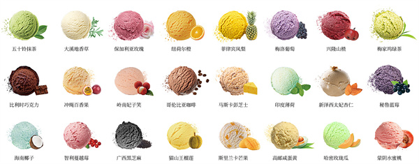 罗曼林加盟费