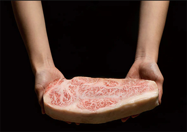 凡塔斯牛排加盟