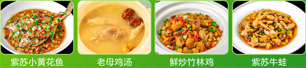 王小赞肥肠竹林鸡加盟费