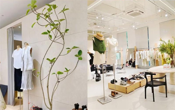 良木礼女装加盟费