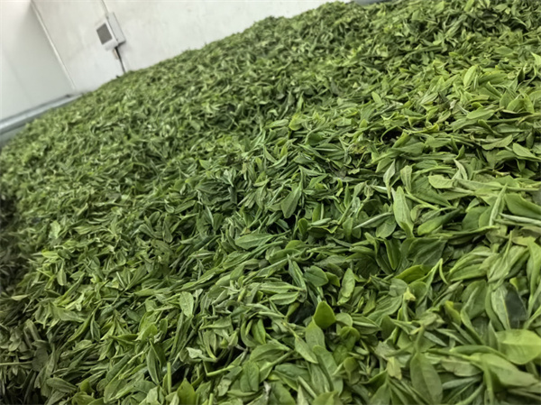 茶本甜加盟费
