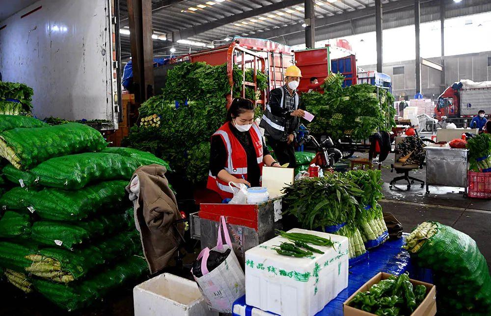 农村致富新途径：在上海农村做什么生意好挣钱？