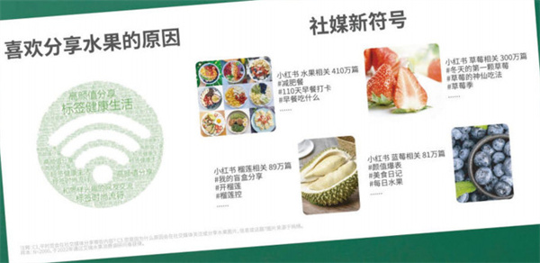 纤果纪