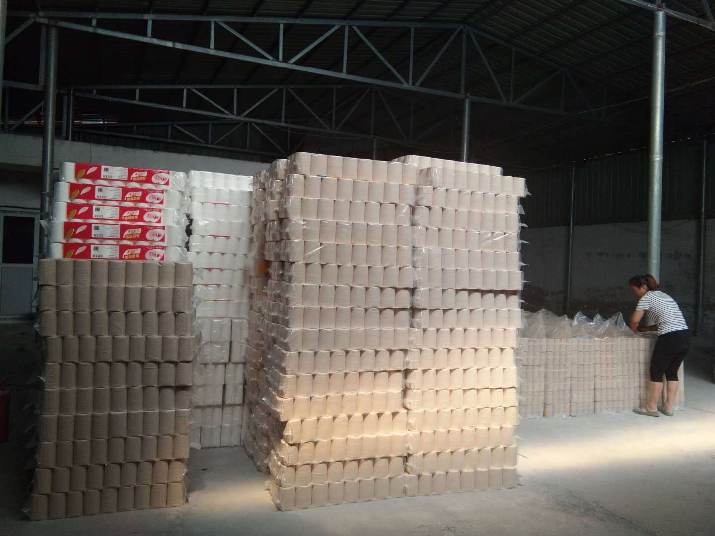 卫生纸加工厂挣钱吗？新赛道盈利真相大公开！