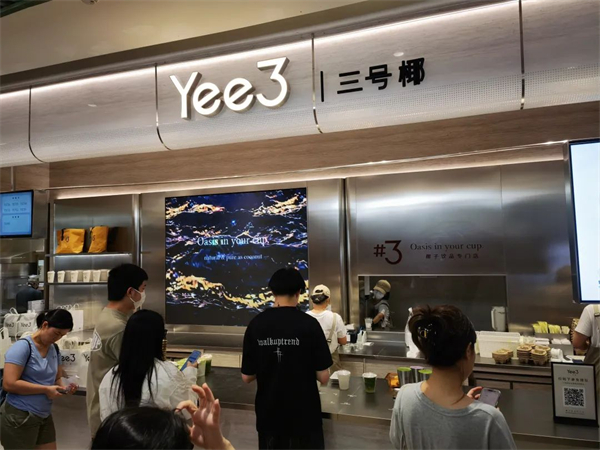 yee3三号椰