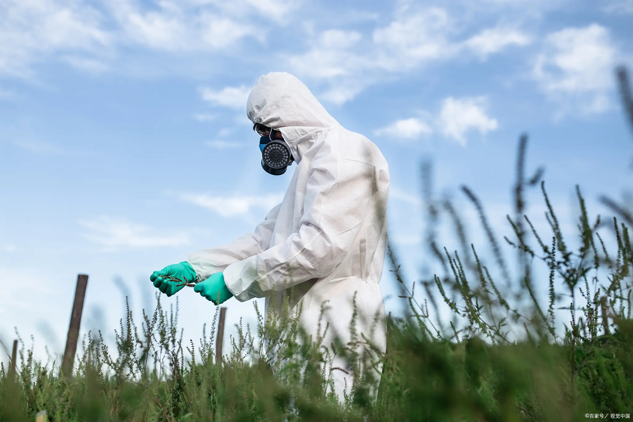 创业新方向探索：有害生物防治挣钱吗？前景如何？