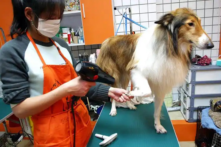 想在家创业实现财富自由？在家创业干什么最赚钱？