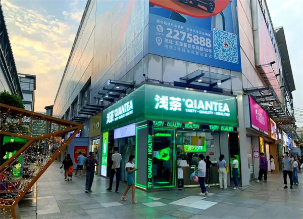 浅茶茶欢加盟费