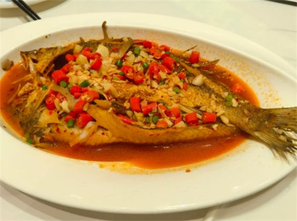 年轻二十年加盟费