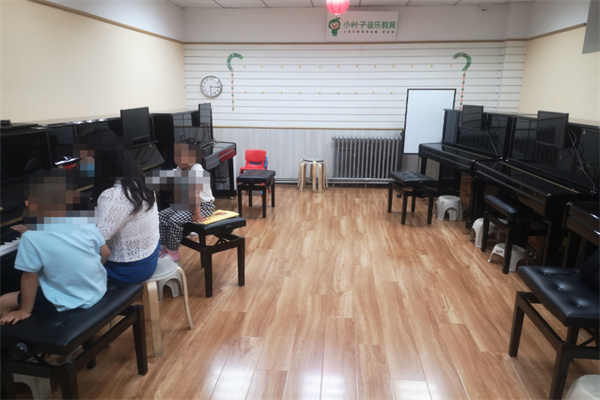 小叶子音乐教育加盟
